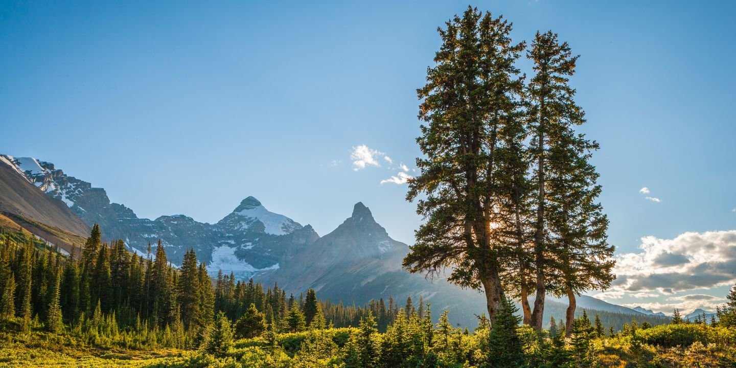 This is British Columbia No.24 - The Rockies Twin Peaks Long