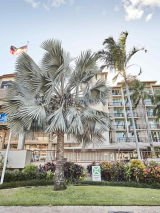 Novotel Cairns Oasis Hotel