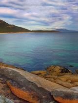 King and Flinders Island Escorted Solo Tour