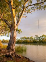 Murray Princess: Adelaide and Murray River package