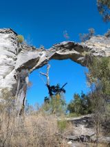 Roof of Queensland Expedition