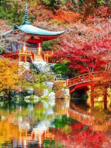Japanese Culture, Art & Gardens in Autumn Splendour