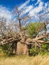 Untamed Pilbara and West Coast