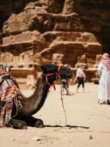 The Kingdom of Jordan Unveiled