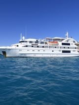 Tasmanian Expedition with Constellation Journeys