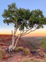 Outback Explorer