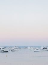 Discovery Rottnest Island