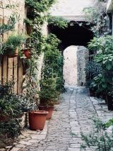 Discover Cyprus North and South