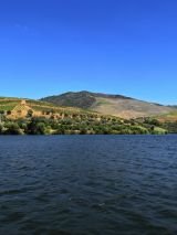 Douro discovery