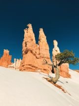 Wonders of the American West (Summer 2019)