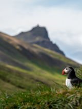  Elemental Iceland – Circular Saga From Reykjavík