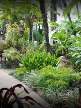 Bay Village Tropical Retreat and Apartments Cairns