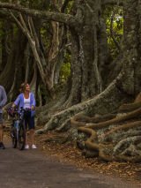 Norfolk Island - Daydreamer Apartments with return flights