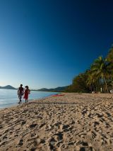 Palm Cove Haven