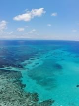 Barrier Reef discovery on Pacific Dawn