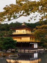 A week in Japan with return flights