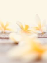 Tahitian Treasures Cruise on Celebrity Solstice
