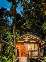 Daintree Wilderness Lodge