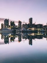 New Zealand with Princess