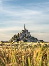 Battlefield Tours: D-Day Landings in Normandy