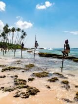 Highlights of Sri Lanka
