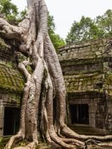 Around Cambodia for Solo Travellers