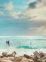 Highlights of Sri Lanka