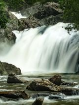 Cairns City Escape