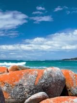 Tasmania on Majestic Princess