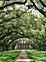 Southern Grace