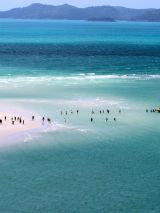 Whitsundays Cruise on Pacific Explorer
