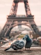 Enchanting France