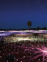 Uluru Sunrise & Field of Light