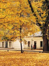 New Zealand Festive Season Tour