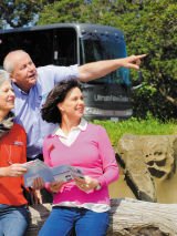 SOLO Travellers Highlights Tour