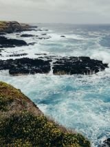 Southern Australia Explorer on Golden Princess