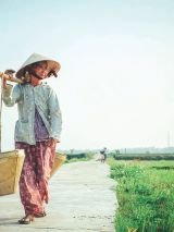 Vietnam at a Glance with return flights