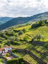 Douro Delights with Lisbon and Madrid
