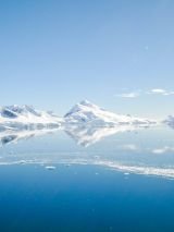 Antarctica, South Georgia and Falkland Islands