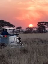 Makutsi Walking Safari