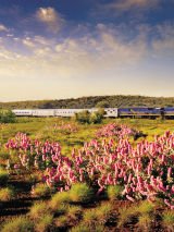 A Taste of Western Australia