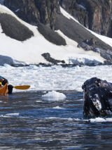 Antarctic Peninsula Adventure (with Antarctic Circle Crossing)