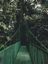 Costa Rica & Panama Discovery