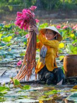 Vietnam Signature Experience Small Group