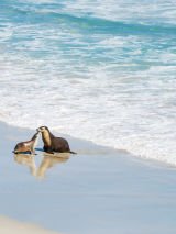 Coastal Experience on Vasco da Gam