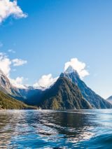 19 day New Zealand rail, cruise and coach holiday