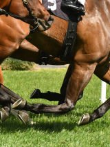 Royal Ascot 2020