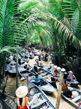 Scenic Vietnam for Solo Travellers