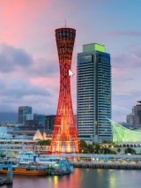 Best of Japan & Korea - EXCLUSIVE OFFER