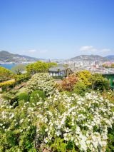 Japan Islands
